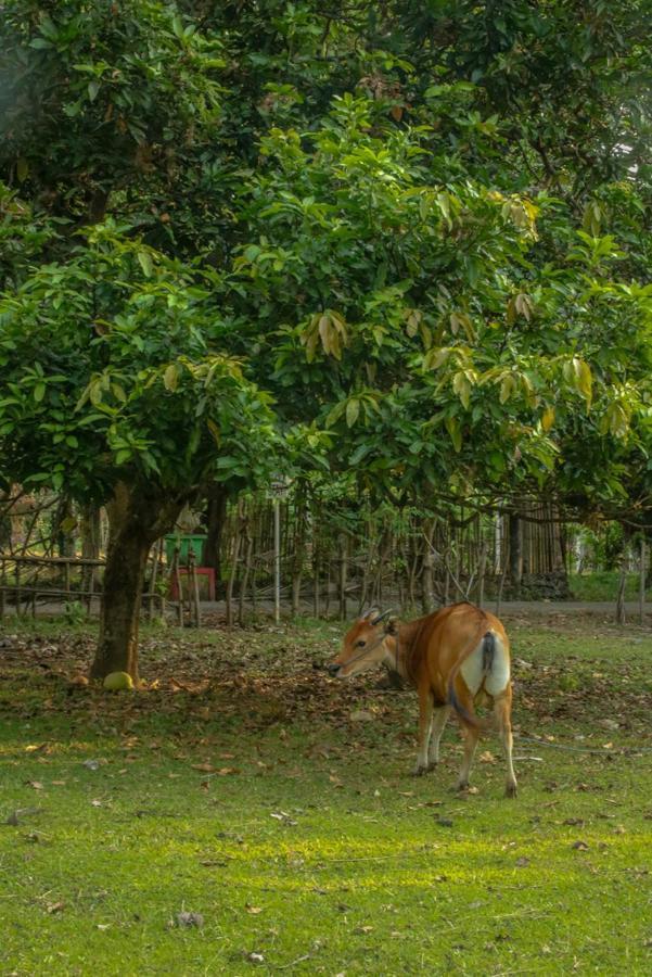 Lendang Eco Lodge Senggigi Kültér fotó