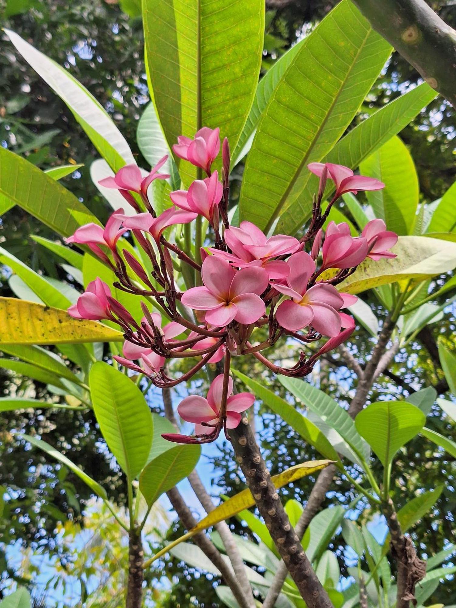 Lendang Eco Lodge Senggigi Kültér fotó