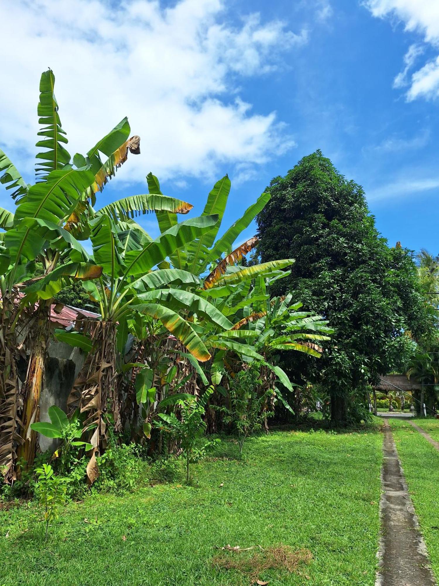 Lendang Eco Lodge Senggigi Kültér fotó