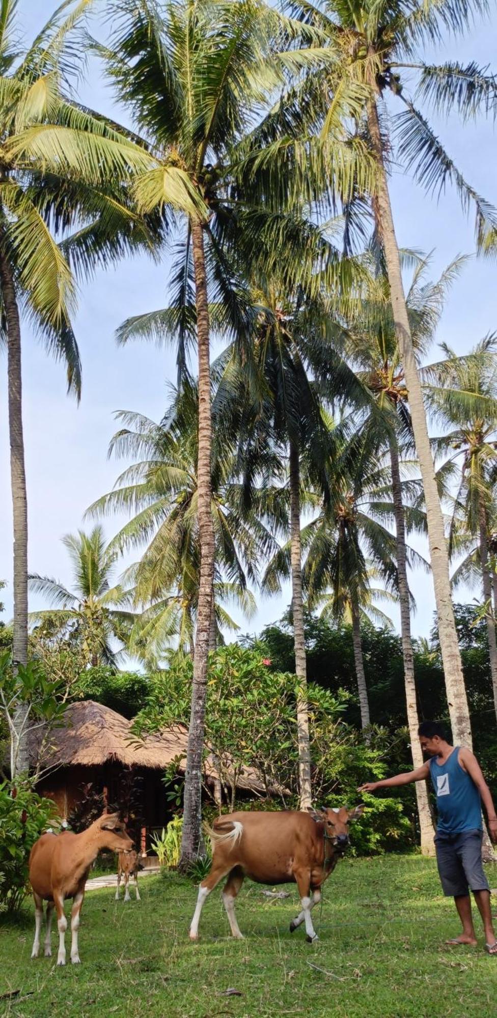 Lendang Eco Lodge Senggigi Kültér fotó