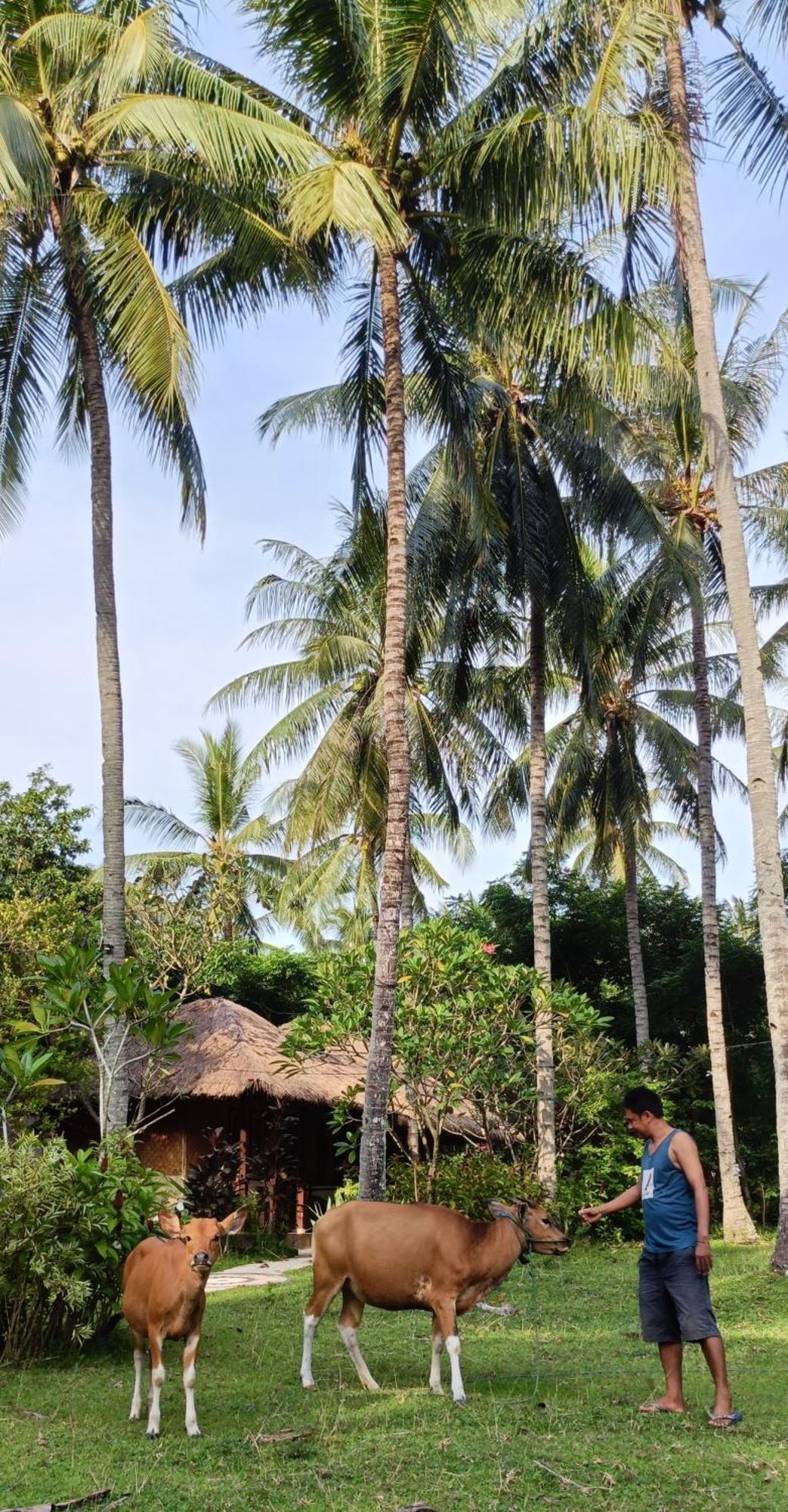 Lendang Eco Lodge Senggigi Kültér fotó