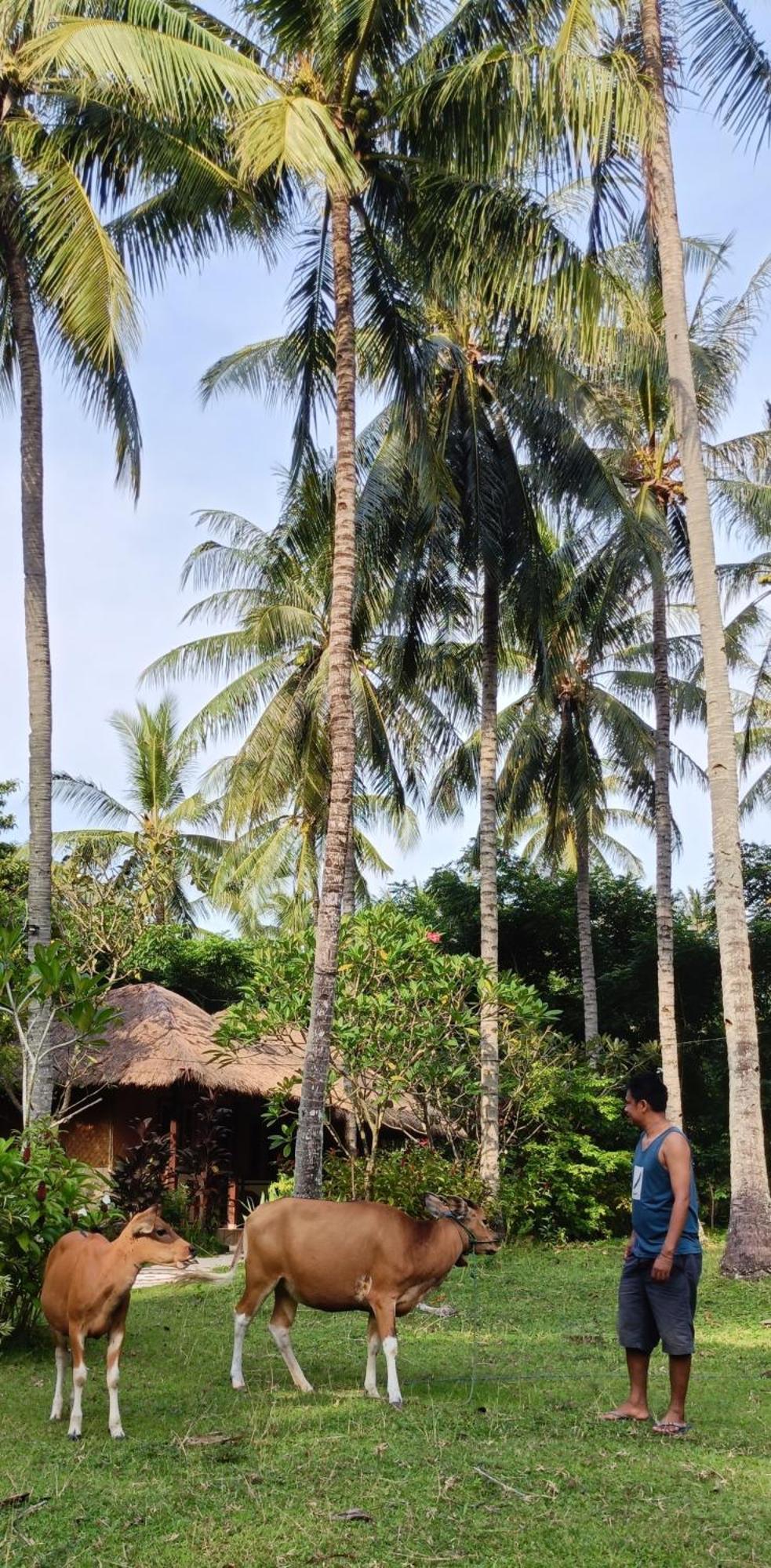 Lendang Eco Lodge Senggigi Kültér fotó