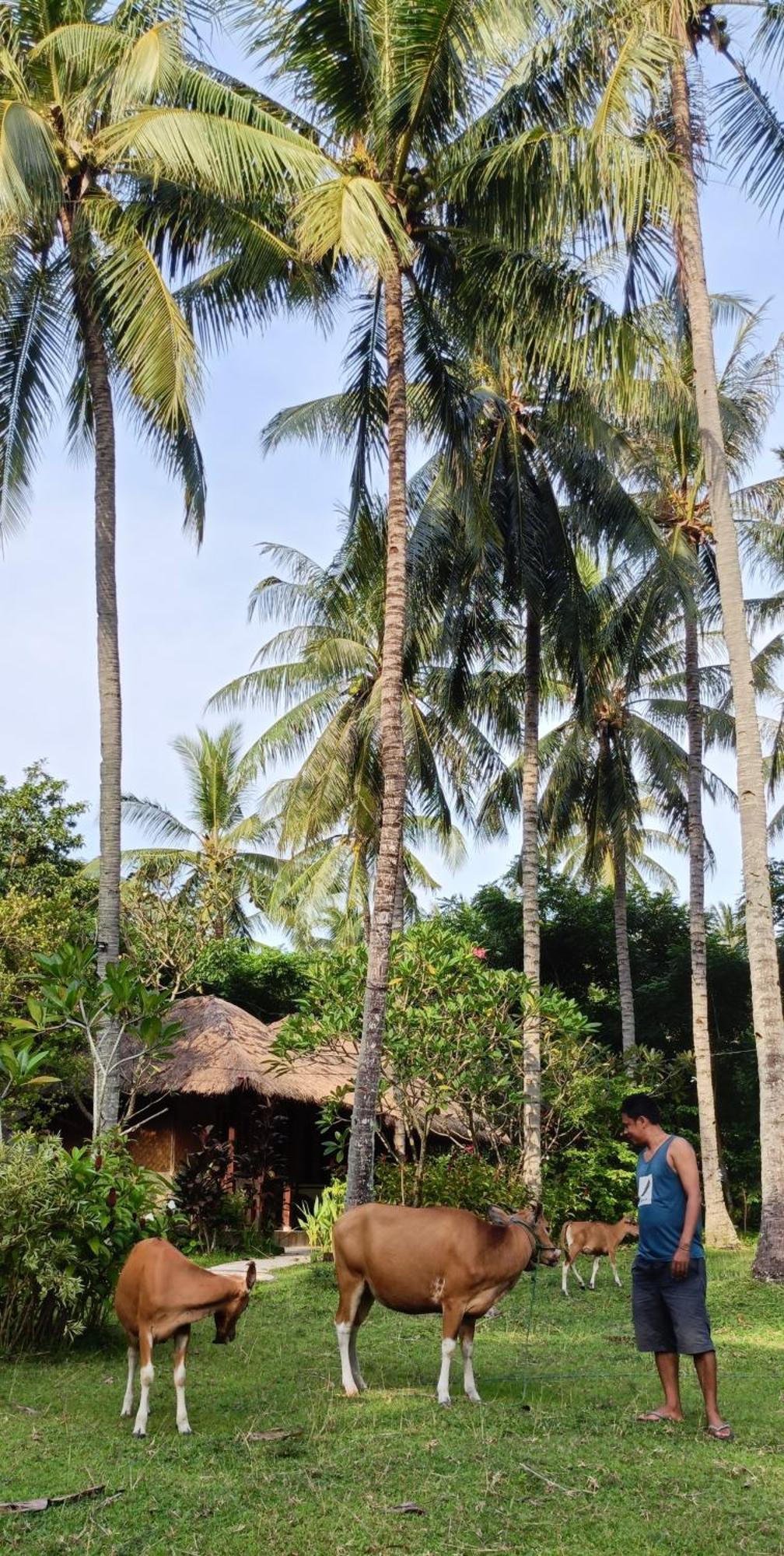 Lendang Eco Lodge Senggigi Kültér fotó